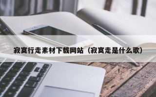 大竹寂寞行走素材下载网站（寂寞走是什么歌）