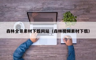 大竹森林全景素材下载网站（森林视频素材下载）